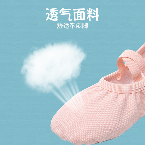 Children's Dance Shoes 21 New Lace-Free Dance Shoes Women's Cat Claw Soft Sole Shape Shoes Ballet Practice Shoes Wholesale