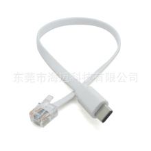 �S�Ҷ��� RJ45���^��TYPE C����X�O���B�Ӿ�  8P8C��ƽ�W��
