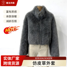 跨境新款人造仿狐狸毛时尚仿皮草大衣秋冬短款立领加厚毛毛外套女