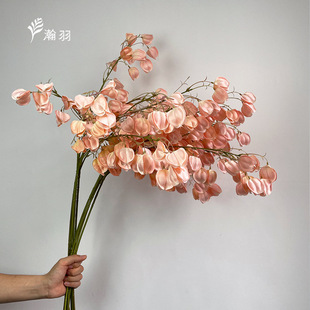 ?���\����仨�������Ҿ��b�����յ��߻�c��Y����������