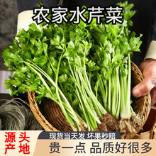 �����rˮ�۲ˡ�ȥ�~�����߲�ˮ��С�~ˮ�۲˟o��ˮ���r���ԷNժ