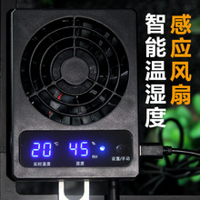 NOMOYPET�ZĦ�؝��ͨ�Lȥ����쾰���ָ����L�ȓQ���L��NFF-102