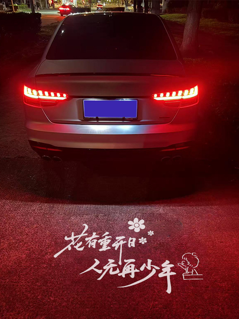 Suitable for Audi license plate projection light, license plate light A6L A4L Q5L A3 Q3 Q7 A3 A1 Q2L lighting modification for personalized customization