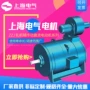上海集团直流传动电动机