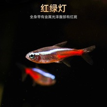 �Ꭷ��ˮ���w�^�p�����~С�͌�ɏ�����R�t�G����ȸȺ���~������~