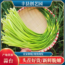 ������̦�����߲�����ũ��Ӧ���»���޷�����������߲�����