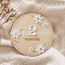 跨境新生儿出生月份牌木制拍照道具白色小雏菊纪念牌婴儿里程碑