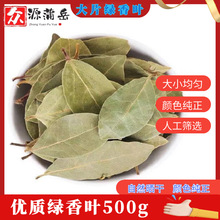 产地货源批发香叶优选大片月桂叶增味提香炖肉调味香辛料火锅卤料