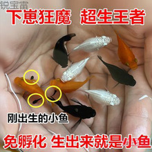 ~ ̥~ Ƥ~ Ꭷ~ ֺB~ ~]