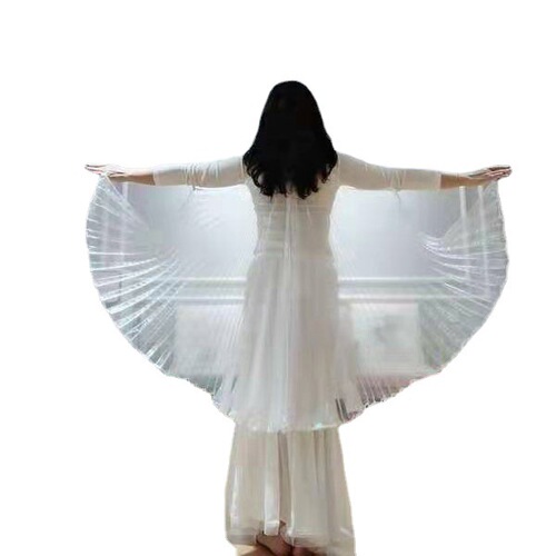 Dance Rhythm Adult Wing Hand Hook Version White Transparent Gold Wing Dance Performance Prop Cloak Belly Dance Costume for Photography