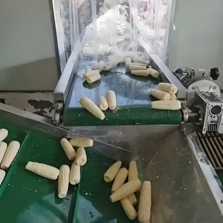 鲜玉米剥皮机 糯玉米加工设备 玉米粒清洗流水线 厂家直供