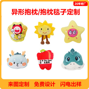Special-Shaped Pillow, Quilt, Blanket, Anime Pet Shape, Ip Gift Event, Logo Embroider Printing, Customized Design According to Drawings