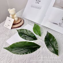 һ���L혷����f����DIY�ٻ��~�ӷ�����~��c�҃��b�����Gֲ