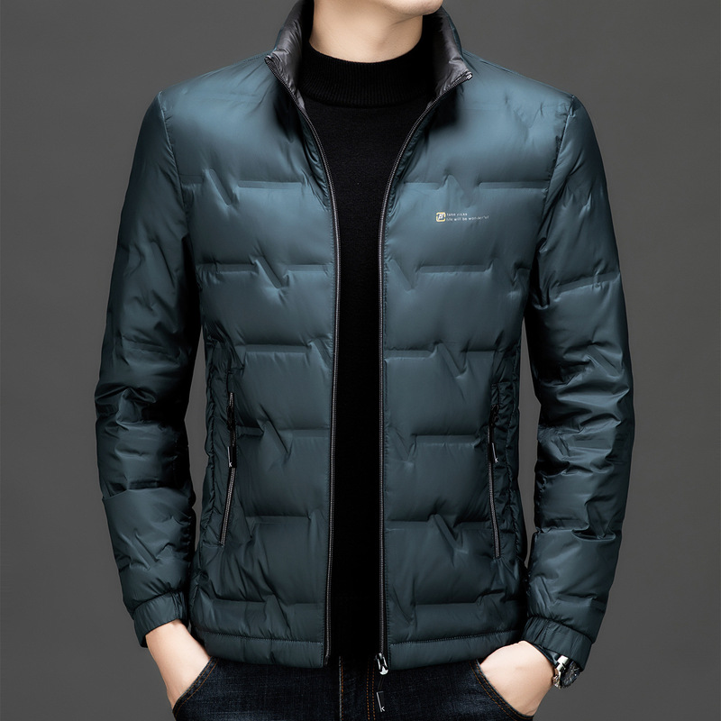 Pastoral Bird silver Shiny Face Wash-Free Down Jacket Men's Vertical Collar Windproof Waist Warm 90 White Duck Down Winter Jacket
