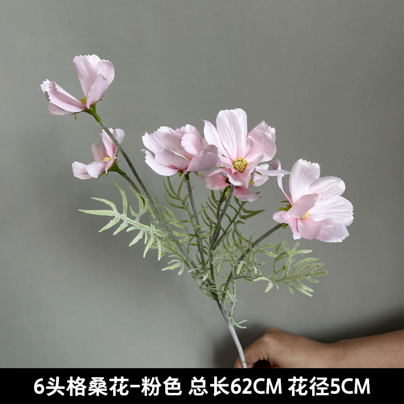 제상꽃