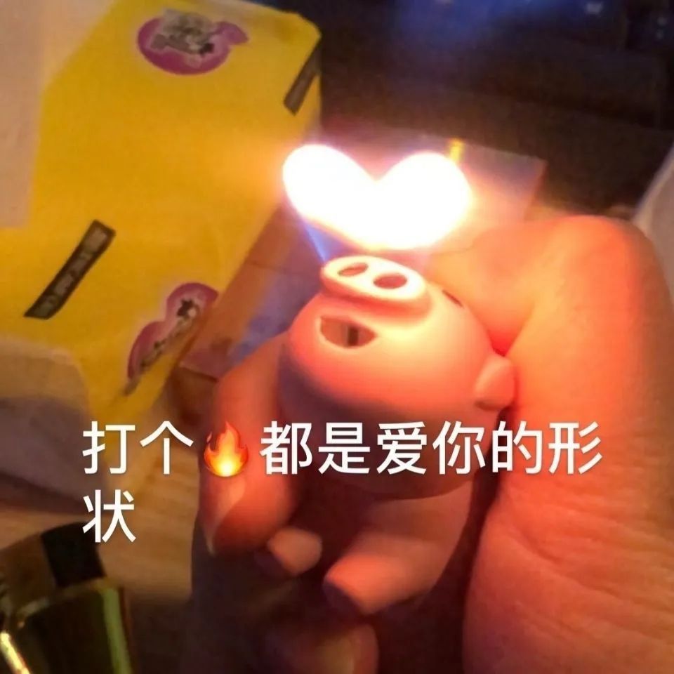 【Dropshipping】Xiaohongshu/Instagram Same Style Loving Pig Cartoon Cute Cigarette Lighter High-End Household
