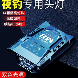 手电筒;头灯头戴电筒;提灯