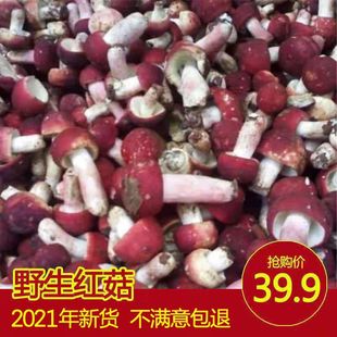 ��؛Ұ������С�t����؛���]�tĢ�����㹽�V����ϸ����t�üt׵��
