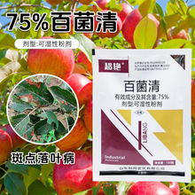 75%پ嚢l׷۲˪ù~߲P߲˹䚢ș