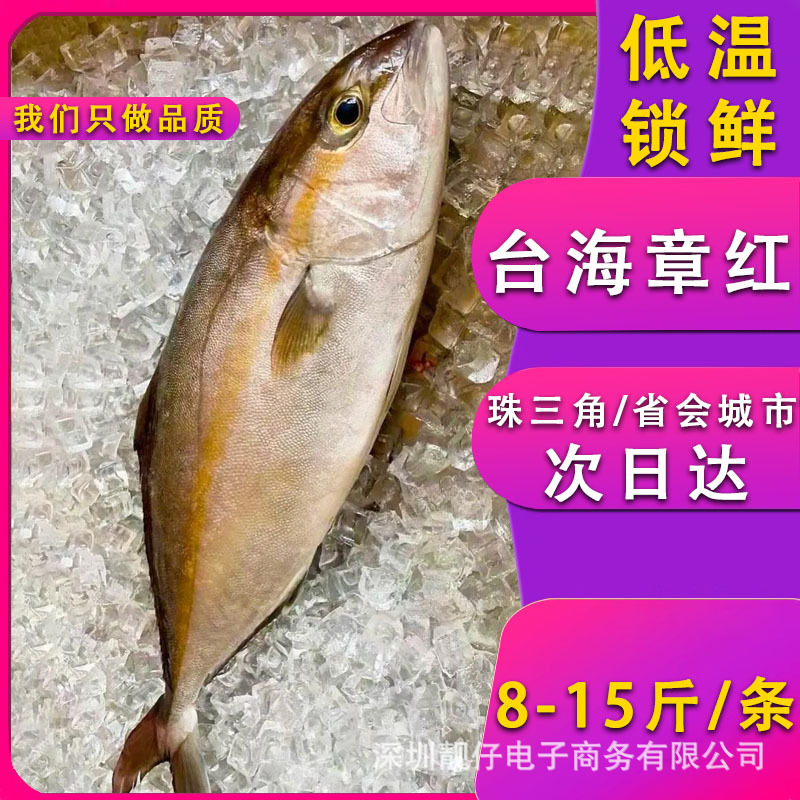 海钓船冻章红鱼鰤鱼红甘鱼油柑鱼海鲜刺身料理寿司自助餐鱼类