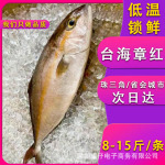 海钓船冻章红鱼鰤鱼红甘鱼油柑鱼海鲜刺身料理寿司自助餐鱼类