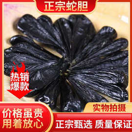 五步蛇胆干蛇胆干 五步龙蛇胆 眼镜蛇胆   蛇胆泡酒