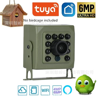 WiFi 绿色 Box Wildlife Habitat Camera绿色孵化器摄像头tuya
