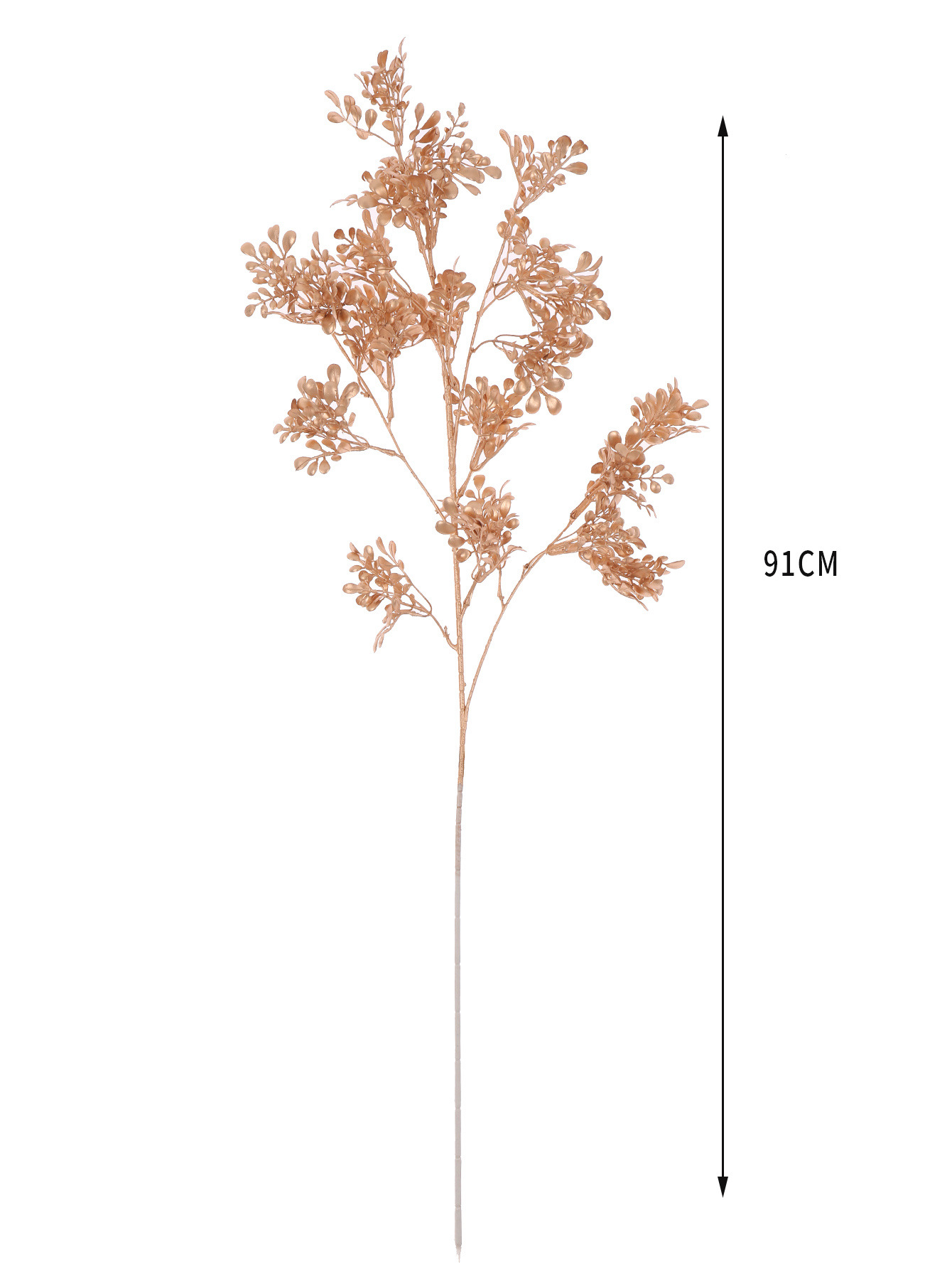1I6A4597