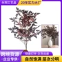 凌霄仿真客厅单支枫叶