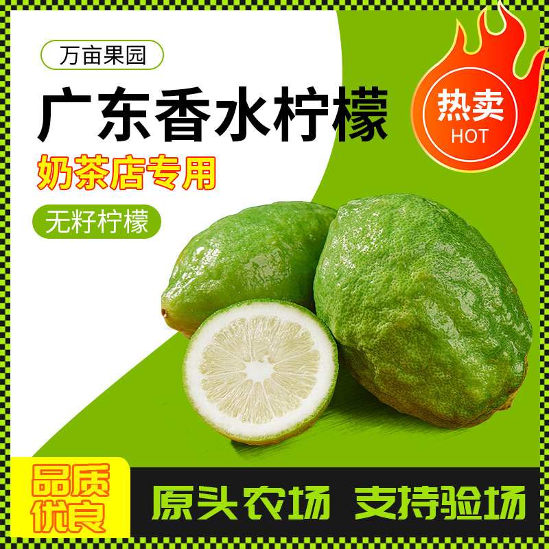 Fresh Handpicked Seedless Bubble Tea Store Perfume Lemon First Grade Seasonal Selected Aromatic Juicy Fresh Fruit
