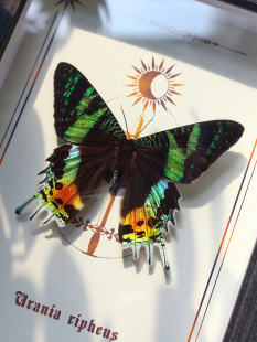 �۴�̫ꖶ�����˱��b��[���Y����ֵ��������������x�Y��