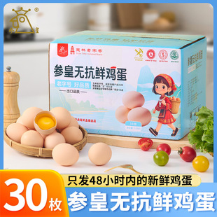 �o���r�u��30ö�Y���b�I�B�S��1.55kg�������l