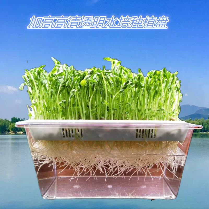 Прозрачная гидропонная цветочная горшка витрина коробки для проращивания детского сада