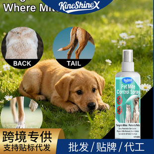 KineShineX�����w�⇊�F���o����؈��ͨ�ó���ʭ���x��ȫ�o���ی�