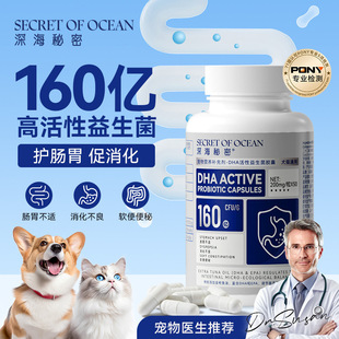 Pet Health Care Product Deep Sea Secret Dha Active Probiotic Capsules Digestive Nutrition Supplement for Dogs, Small and Medium-Sized Dogs