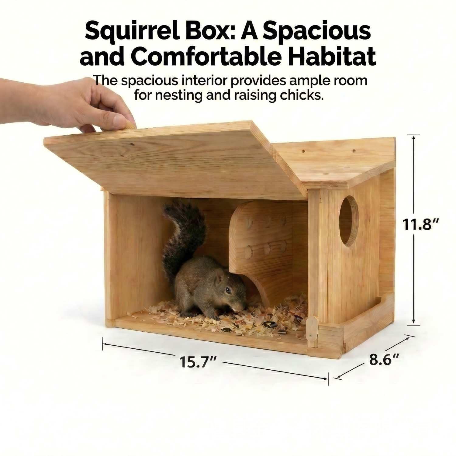 Wooden squirrel nest outdoor garden wall-mounted pet feeder hamster parrot breeding box squirrel habitat 3
