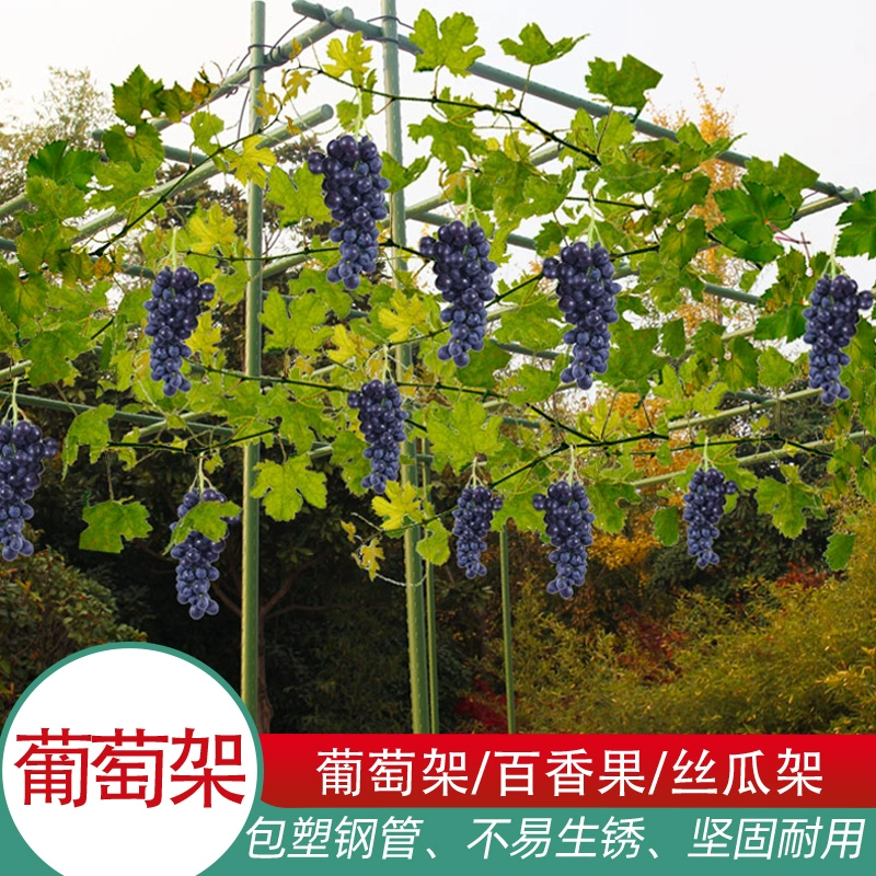 Виноградная стойка для скалолазания подставка для виноградной лозы подставка для наружного цветочного растения держатель