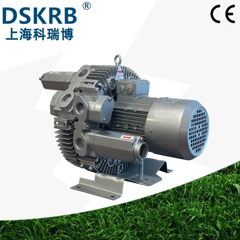 一体化屠宰污水处理曝气鼓泡搅拌用双叶轮低噪音小型气环式真空泵