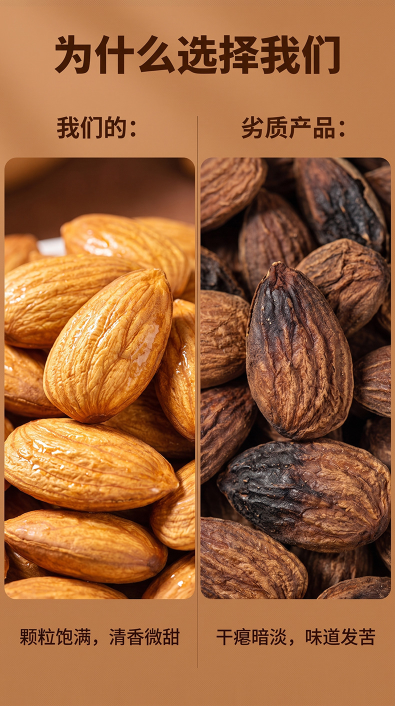 Premium Chinese Almond Kernels Xing Ren Prunus armeniaca Dried Seeds for Herbal Tea and Culinary Use 100g key features