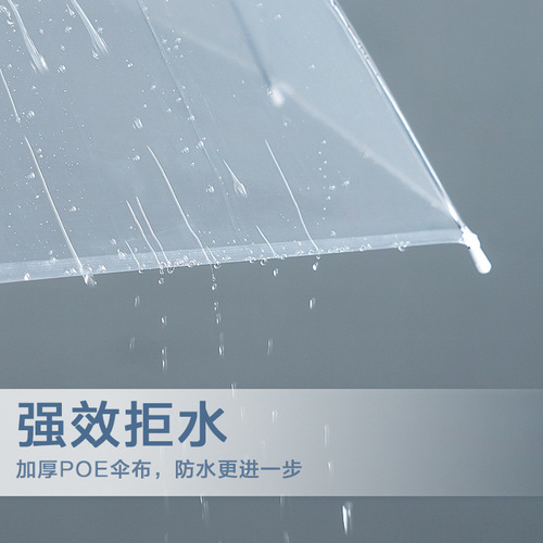 Transparent umbrella with long handle, 16 ribs reinforced, stylish for women, can print logo for advertising umbrellas, manufacturer wholesale