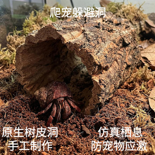 ������ܘ䶴�����،m�����ֹ�����ݽ�z����␞��������쾰