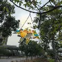 庭院爆款跨境户外捕捉器