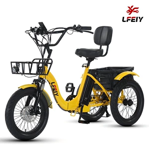 Folding Fat Tire Electric Tricycle Pedal Snow E-Bike