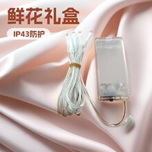 LED铜线长亮款灯串闪烁彩灯鲜花礼盒彩灯：2节盒带闪盒皮线灯