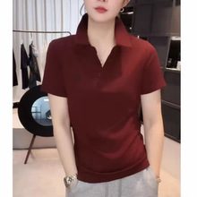 ����t��Ů2026�����¿��n��r��С���̽����polo���ٴ��@������