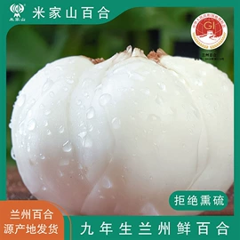 块茎类;百合;脱水蔬菜