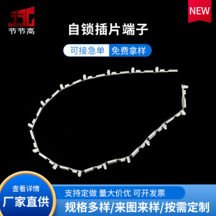 2.8���i����B���M�B���l ���i��Ƭ�����B�@ֱ�厧�i�۶��ӏS��