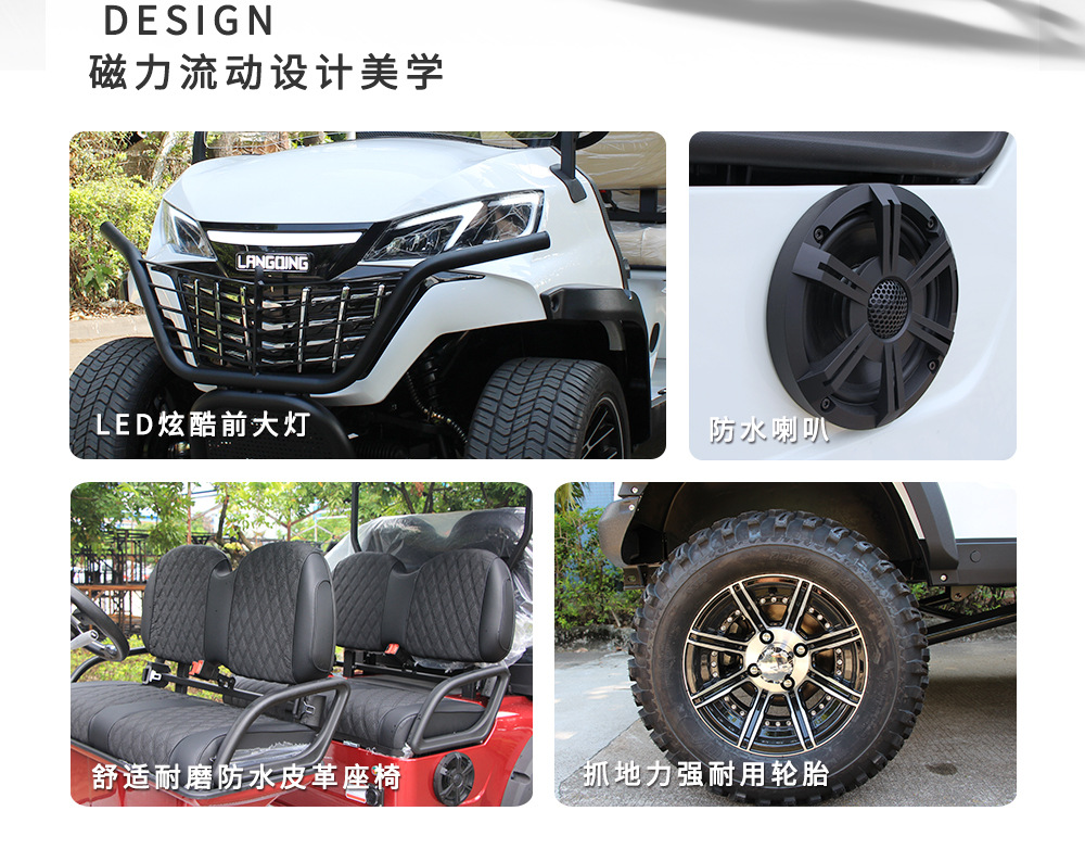 2-Seater Golf Cart, Cross-Border Sightseeing Vehicle, Tourist Attraction Hotel Shuttle Bus, Golf Course Ball-Picking Cart, Golf Cart