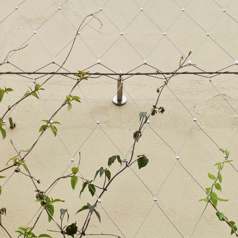 不锈钢绳网钢丝绳防护网高空防坠网楼梯防护网植物攀爬304安全网