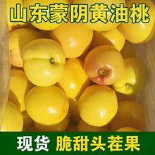 【新品上市】山东蒙阴脆甜黄心桃子黄金油桃新鲜水果当季孕妇季1